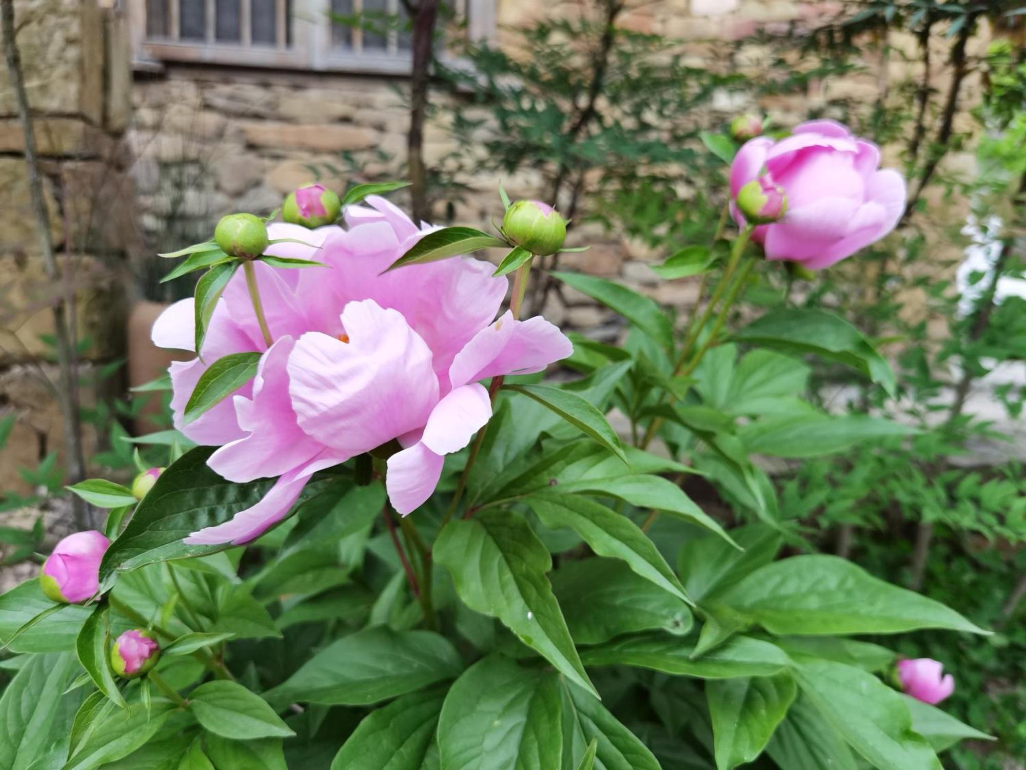 Dayong Antique Feature Resort Zhangjiajie Zewnętrze zdjęcie