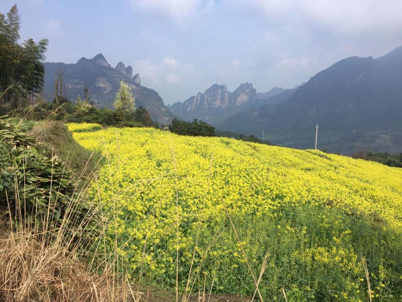 Dayong Antique Feature Resort Zhangjiajie Zewnętrze zdjęcie