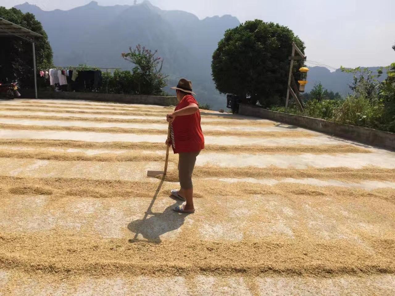 Dayong Antique Feature Resort Zhangjiajie Zewnętrze zdjęcie