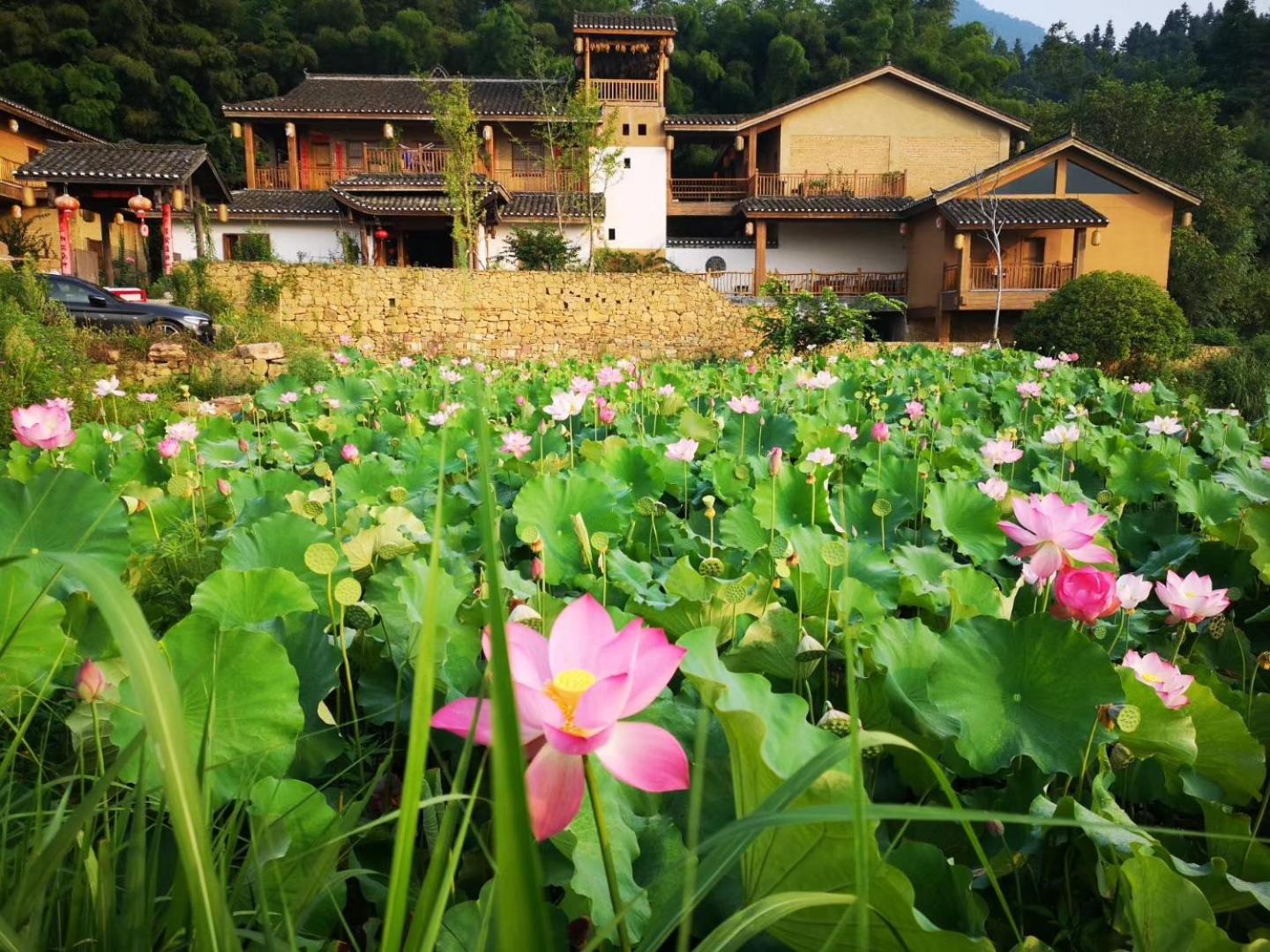 Dayong Antique Feature Resort Zhangjiajie Zewnętrze zdjęcie